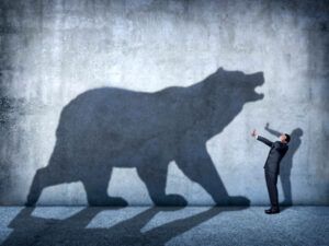 Don’t Try and Fight the Bear — A Smarter Way to Play the Game